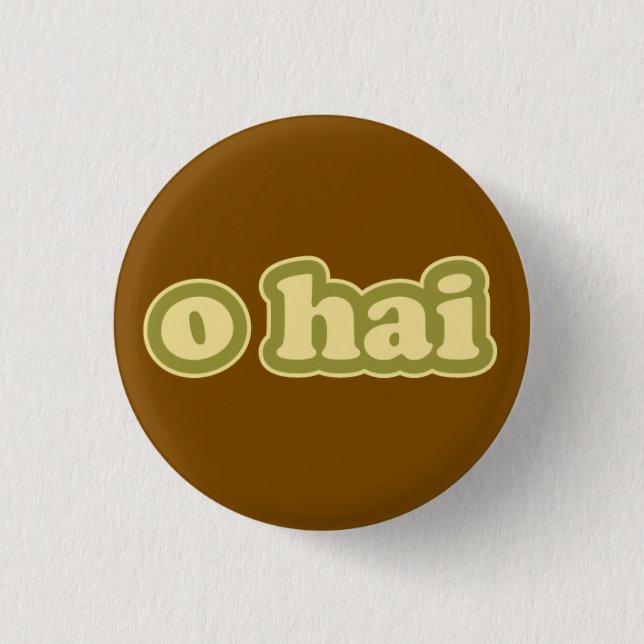 O HAI Lolcat Speak Flair Pinback Button (Front)