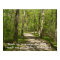 O Lord, Teach me your paths. Psalm 25