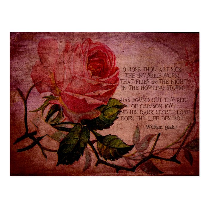 O Rose Thou Art Sick Postcard