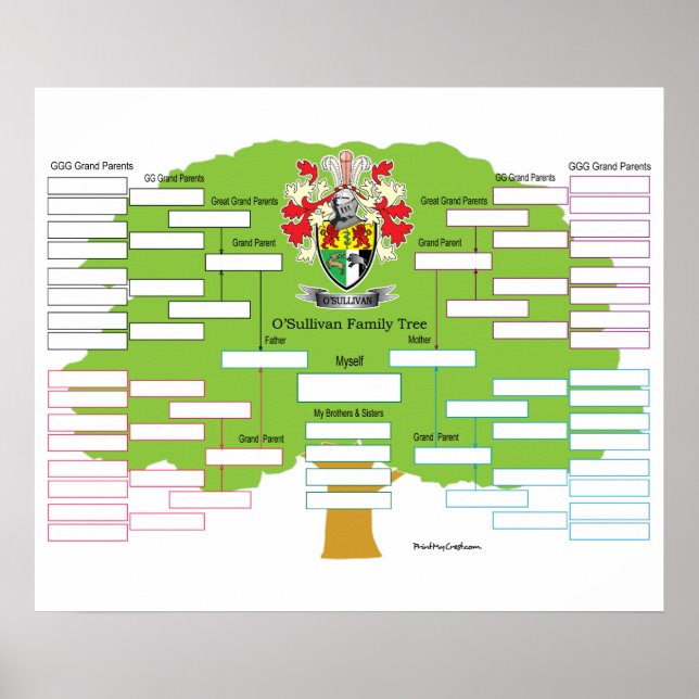 O-Sullivan-Family-Tree Poster (Front)