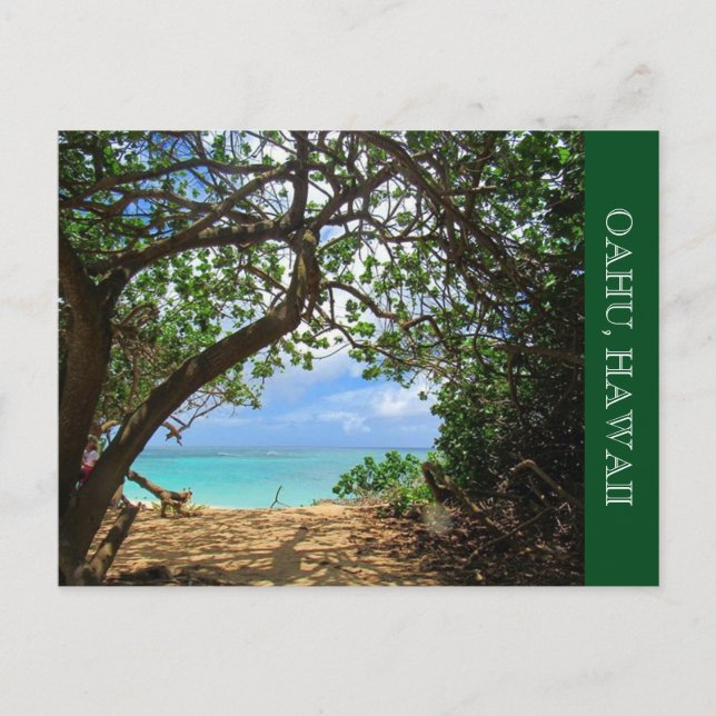 oahu beach path postcard (Front)