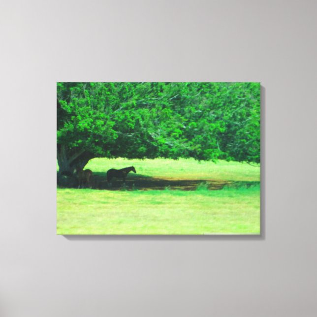 OAHU HAWAII #18 CANVAS (Front)