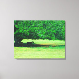 OAHU HAWAII #18 CANVAS PRINT
