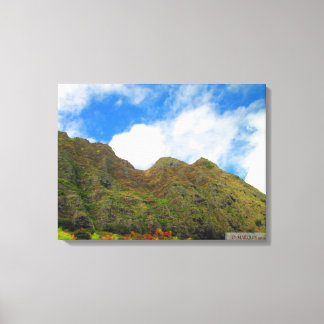 OAHU HAWAII #20 CANVAS