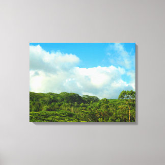 OAHU HAWAII #23 CANVAS