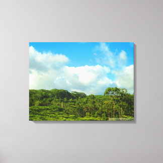 OAHU HAWAII #23 CANVAS PRINT