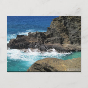 OAHU,HAWAII#4 POSTCARD