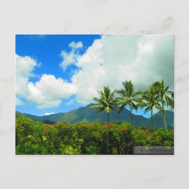 OAHU,HAWAII#6 POSTCARD (Front)