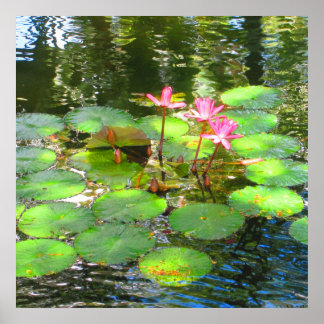 OAHU,HAWAII # 8 POSTER