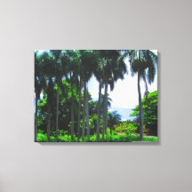 OAHU HAWAII #9 CANVAS