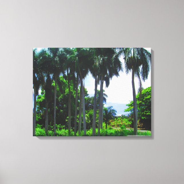 OAHU HAWAII #9 CANVAS (Front)