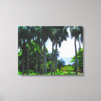 OAHU HAWAII #9 CANVAS PRINT