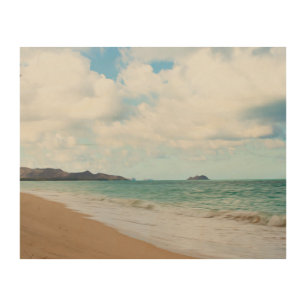 Oahu Hawaii Ocean Waves & Beach Wood Wall Decor