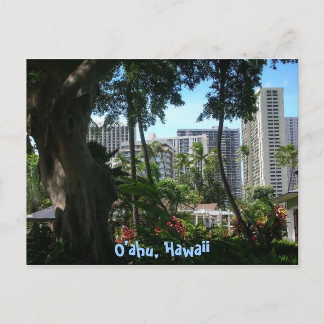 O'ahu, Hawaii postcard (Front)