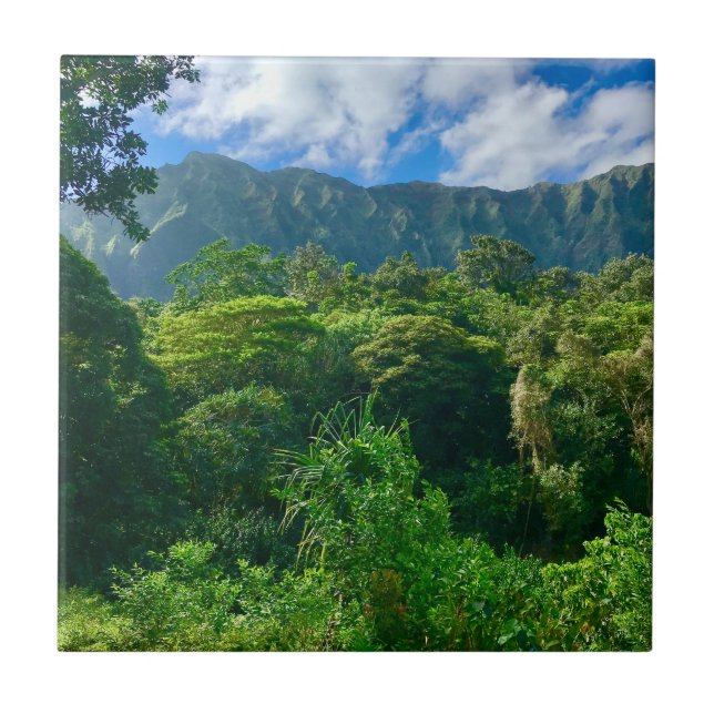 Oahu, Hawaii Rainforest Ceramic Tile (Front)