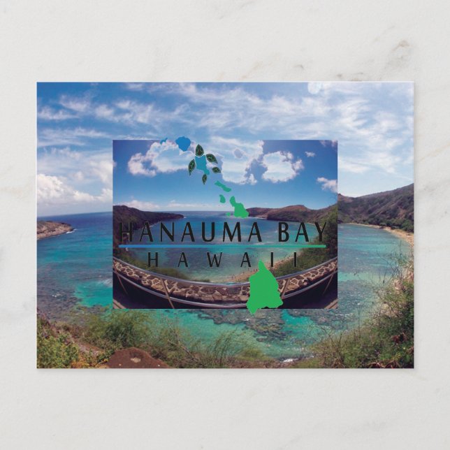 Oahu Island Turtle Postcard (Front)