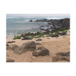 Oahu's North Shore and Sea Turtle  Postcard