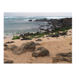 Oahu's North Shore and Sea Turtle  Poster