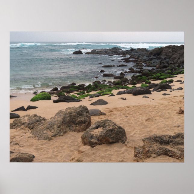 Oahu's North Shore and Sea Turtle  Poster (Front)