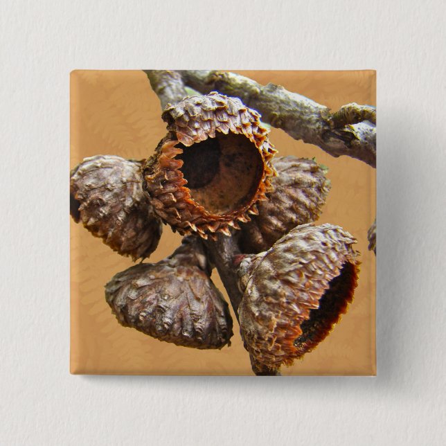 Oak Acorn Caps Button (Front)