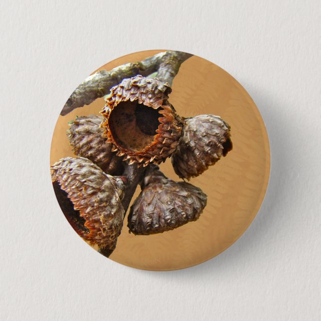Oak Acorn Caps Pinback Button (Front)