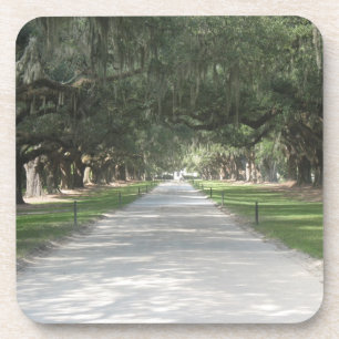 Oak Alley at Boone Hall, Charleston SC Coasters