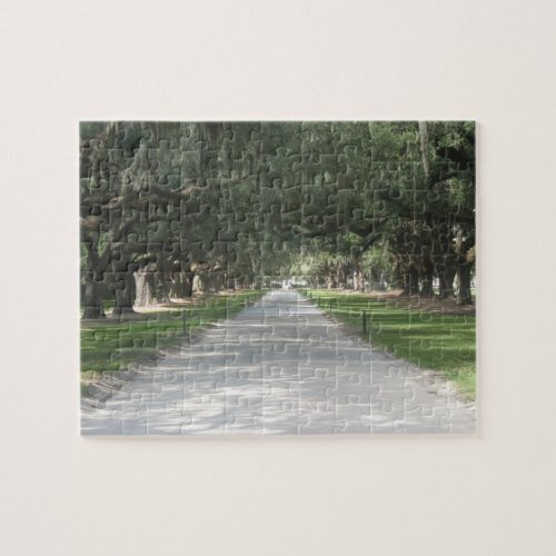 Oak Alley at Boone Hall Charleston SC Puzzle