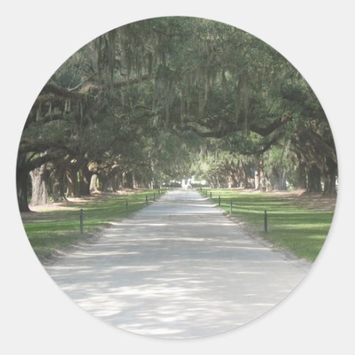 Oak Alley at Boone Hall Charleston SC Stickers