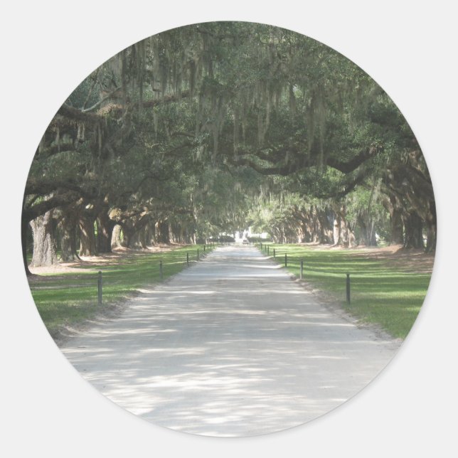 Oak Alley at Boone Hall, Charleston SC Stickers (Front)