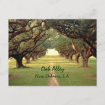 Oak Alley New Orleans Postcard at Zazzle