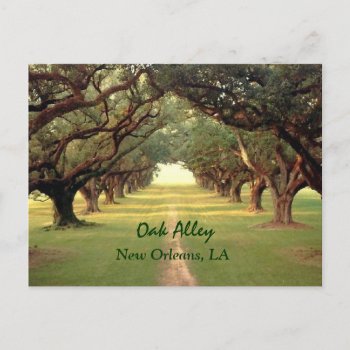 Oak Alley New Orleans Postcard by Koobear at Zazzle