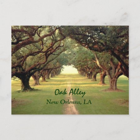 Oak Alley New Orleans Postcard