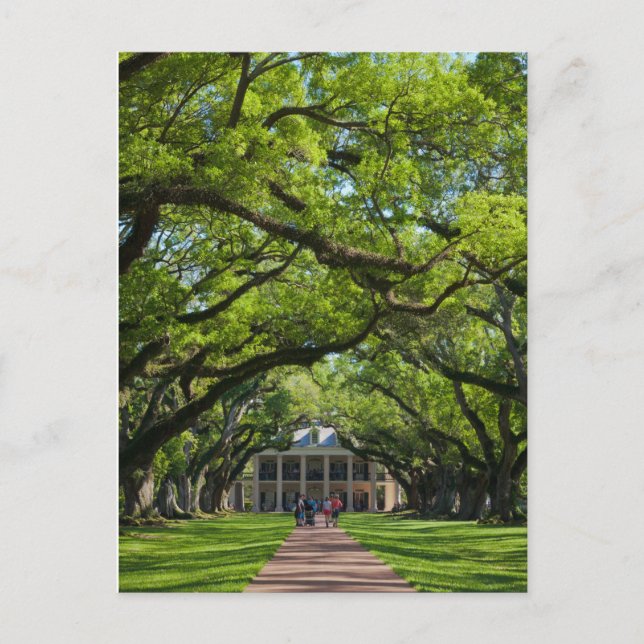 Oak Alley Plantation House Postcard (Front)