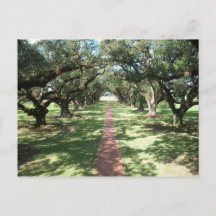 Oak Alley Plantation pathway