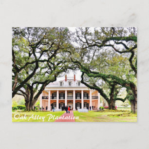 Oak Alley Plantation Postcard