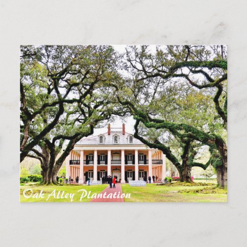Oak Alley Plantation Postcard