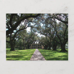 Oak Alley Plantation Postcard