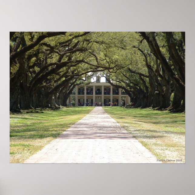 Oak Alley Plantation Poster (Front)