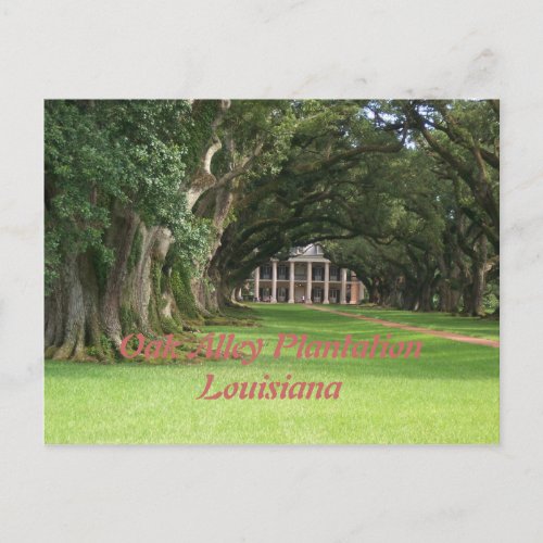Oak Alley PlantationLouisiana Postcard