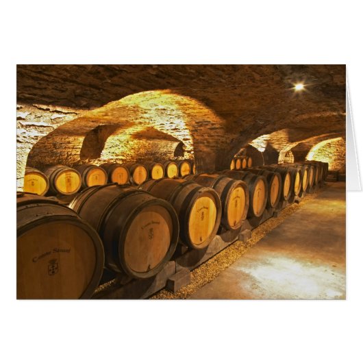 Oak barrles in the cellar at Domaine Comte (Front Horizontal)