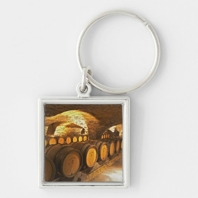 Oak barrles in the cellar at Domaine Comte Keychain (Front)