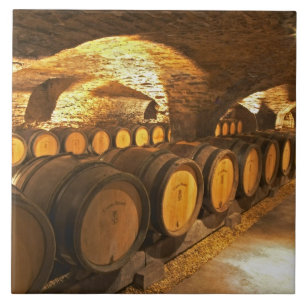 Oak barrles in the cellar at Domaine Comte Tile