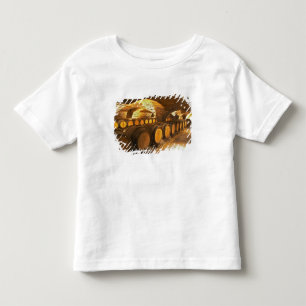 Oak barrles in the cellar at Domaine Comte Toddler T-shirt