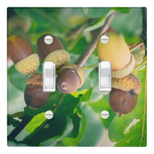 Oak branches with acorns light switch cover