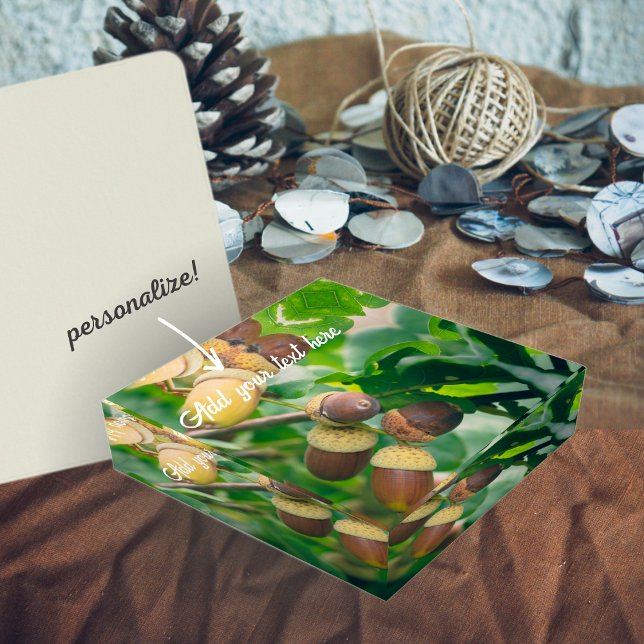 Oak branches with acorns paperweight (Creator Uploaded)