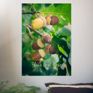 Oak branches with acorns poster