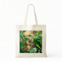 Oak branches with acorns