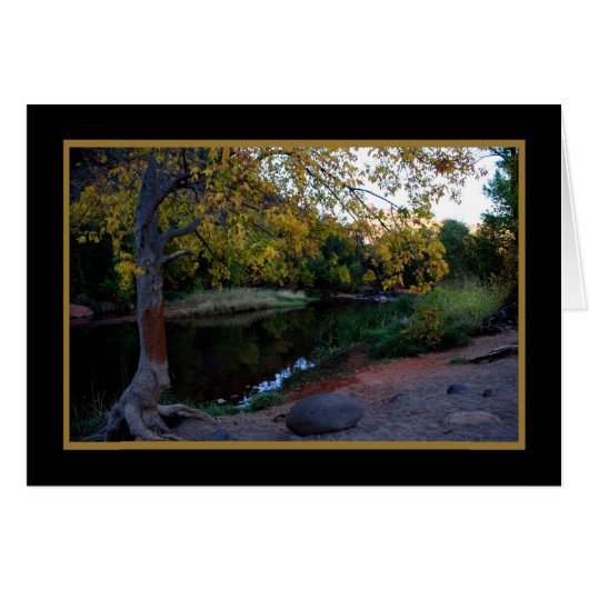 Oak Creek 246 Cards (Front Horizontal)