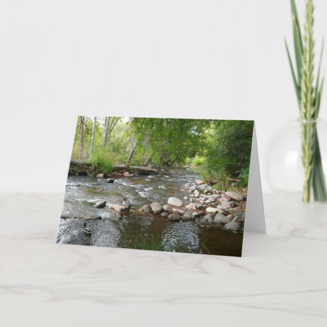 Oak Creek and Mallard Ducks Nature Photography Card (Front)