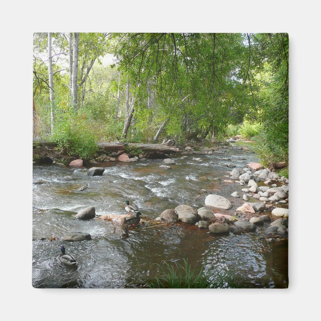 Oak Creek and Mallard Ducks Nature Photography Magnet (Front)
